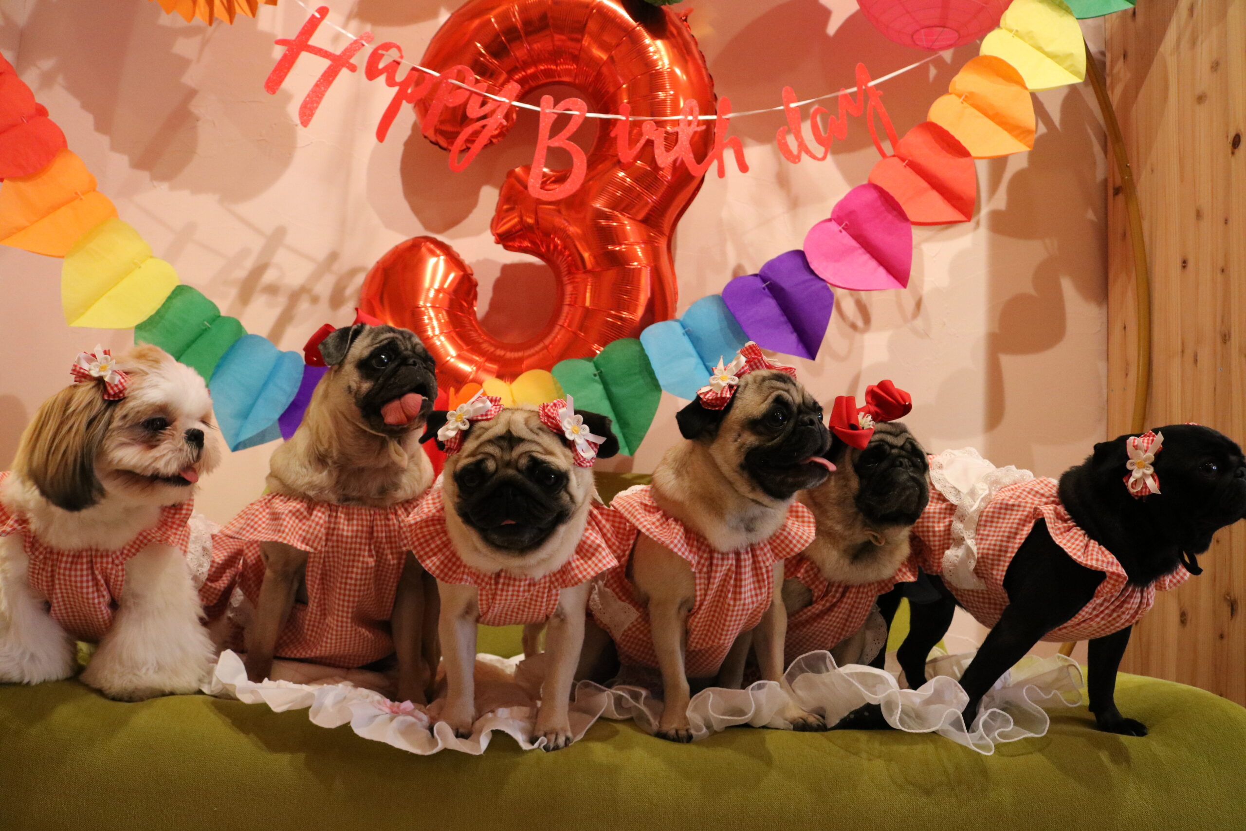 貸切パーティの様子